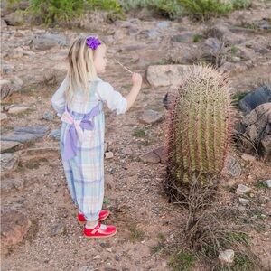 The Beaufort Bonnet Rebecca Romper with Bow!